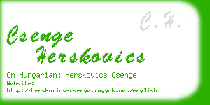 csenge herskovics business card